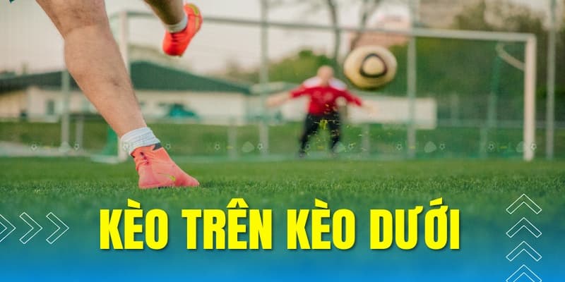 Mẹo dự đoán kết quả chính xác từ chuyên gia